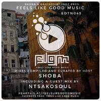 Feels Like Good Music 043 Guest Mix by Ntsakosoul by FeelsLikeGoodMusic