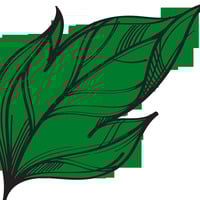 The Calypso Sessions