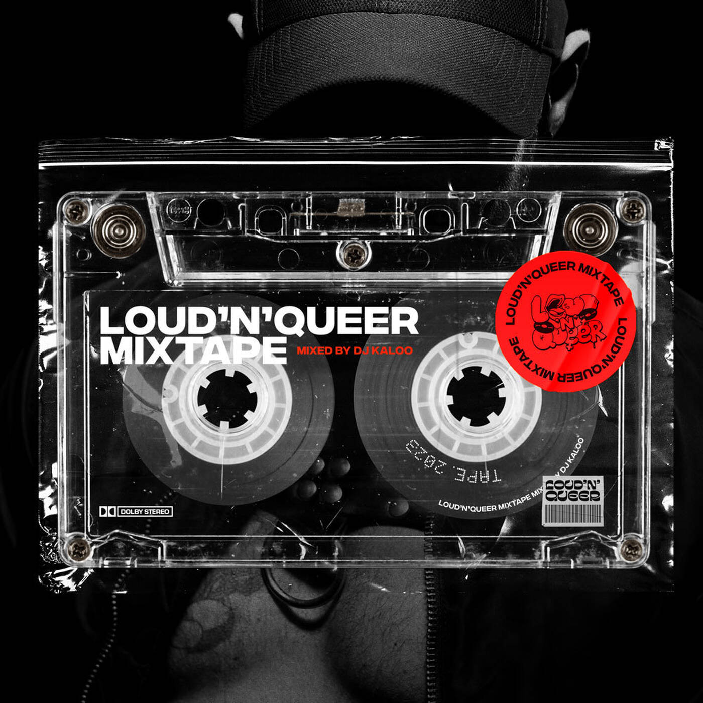 Loud'N'Queer Mixtape by DJ Kaloo - April 2023 episode artwork