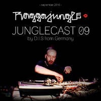Junglecast 09 / 2016 - D.I.S by Raggajungle.biz
