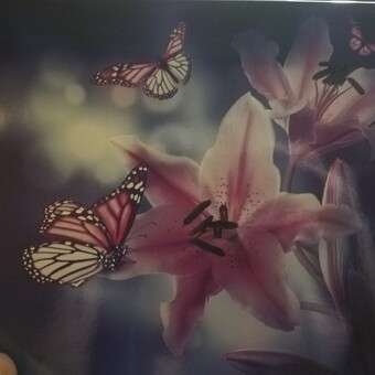 Andrea Amaya Brezinov&aacute;