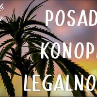 10.2.porilukCID by Poriluk.com