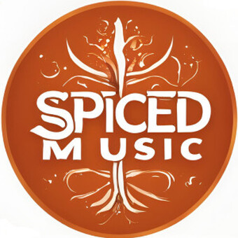 Dj Spice T