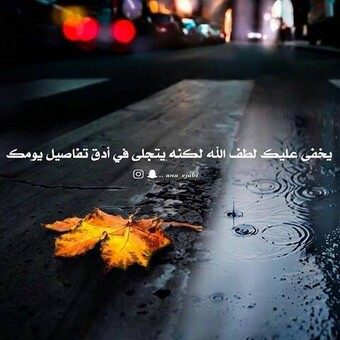 فلينتا أبو أحمد