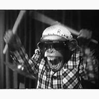 100% Hardstep Jungle by 12edit