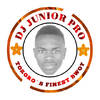Dj Junior Pro 256