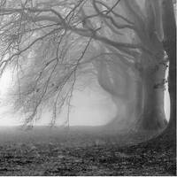 It begins and ends with Y (Without) by Housemaid and The Fear