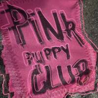 Stone Cox vs. HellFox: Pink Puppy Club! by DJ Stone Cox