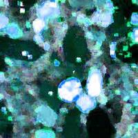 La romance du bout de l'an by Gérard Delassus