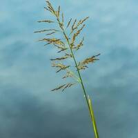 copernicus - highway to house - episode 37 by copernicus