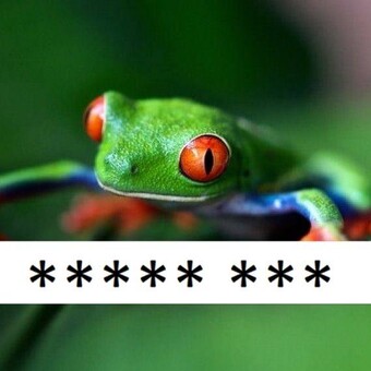 Piotr Rabinek Gerlach