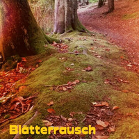 Blätterrausch 2014 - DjClasver by DJ Clasver