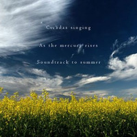 Summer Song [naviarhaiku062 - Cicadas singing] by Carlos-R