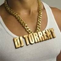 DJ TORRENT - DEEP HOUSE 2020_1 by djtorrent