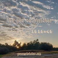 The Goa Constrictor - 20 20 = 40 by goaconstrictor