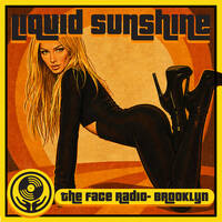 Salacious House - Bass Driven Disco and House - Liquid Sunshine @ The Face Radio - Show #276 by Liquid Sunshine
