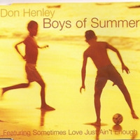 Jay Kaufman vs. Don Henley - The Boys of Summer-ish by Jay Kaufman
