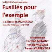 Interview Sébastien Pichereau - Pièce de théâtre "Fusillés pour l'exemple". by Frequence Sillé