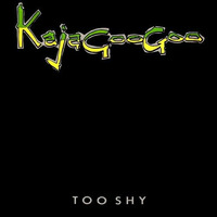 Kajagoogoo - Too shy (Lounge edit) by DJ Pascal Belgium