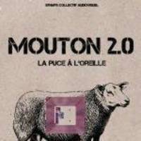  LsLf -Mag- Faut pas pucer 02 (Novembre 2017) by Le son et la forme