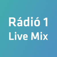 Rádió 1 Live Mix - Loving Arms (03.04.2024) by djsets4u