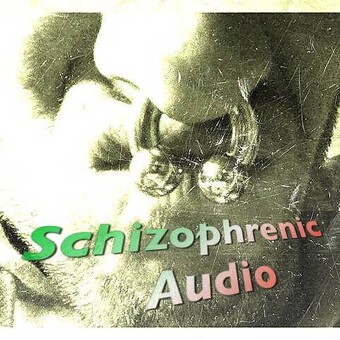Schizophrenic Audio