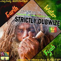 Earth Water &amp; Fyah! by Paul Rootsical