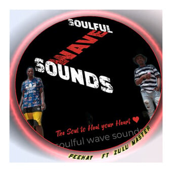 SOULFUL WAVE SOUNDS {sws}
