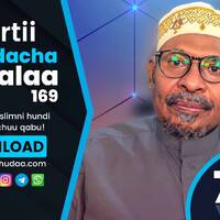 RNH 785, February 2, 2023 Jaarmaya Bultii by NHStudio