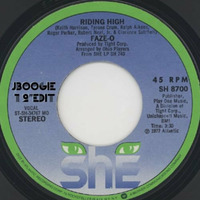 Ridin' High - J Boogie 12" EDIT by JBoogie