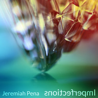 Imperfections in Reverse by Jeremiah Pena