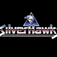 Silverhawks Theme (Peter Zimmermann's Retro Re-Rumble) by Peter Zimmermann