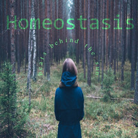 Homeostasis by Beats Behind The Sun