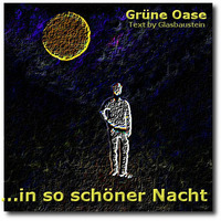 in so schöner Nacht by Grüne Oase