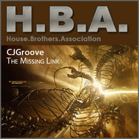 The Missing Link - Summer 2011 by Mr. Cj Groove