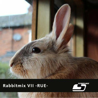 Starskie - Rabbit Mix 7 - Rue - by Starskie