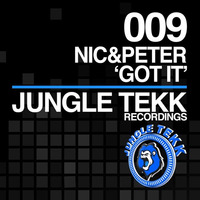 Got It (Original Mix) by Nic&Peter