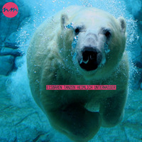 NEEDLES MUSIK -  Eisbären Tanzen Heimlich Unterwasser by NEEDLES MUSIK