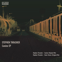 Stephen Thrasher - Some Voices (Original Mix) PREVIEW by Railroad Recordings