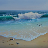 Seagulls & Waves by David Zavalla