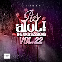 It's A Lot! The UKG Sessions, Vol. 22 by DJ E1D