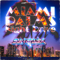 Miami Palms Night Drive by Synaptyx