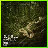 Matius - Reptile (Original Mix) by Matius