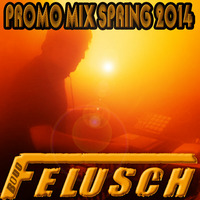 Bodo Felusch - Promo Mix Spring 2014 by Bodo Felusch