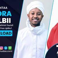 RNH 768, December 5, 2022 Soora Qalbii by NHStudio