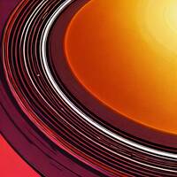 Best canned sustenance for your dog other than chicken by Robert Merritt