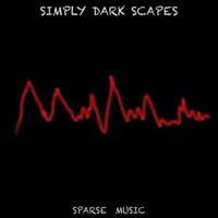 SPRS_01071_TK001_Distressing_Realization_MAIN_Joerg_Huettner_SPARSE_MUSIC by SPARSE MUSIC