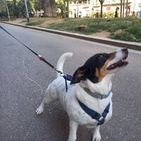 podcast 12 électro déviant by LE MATOU