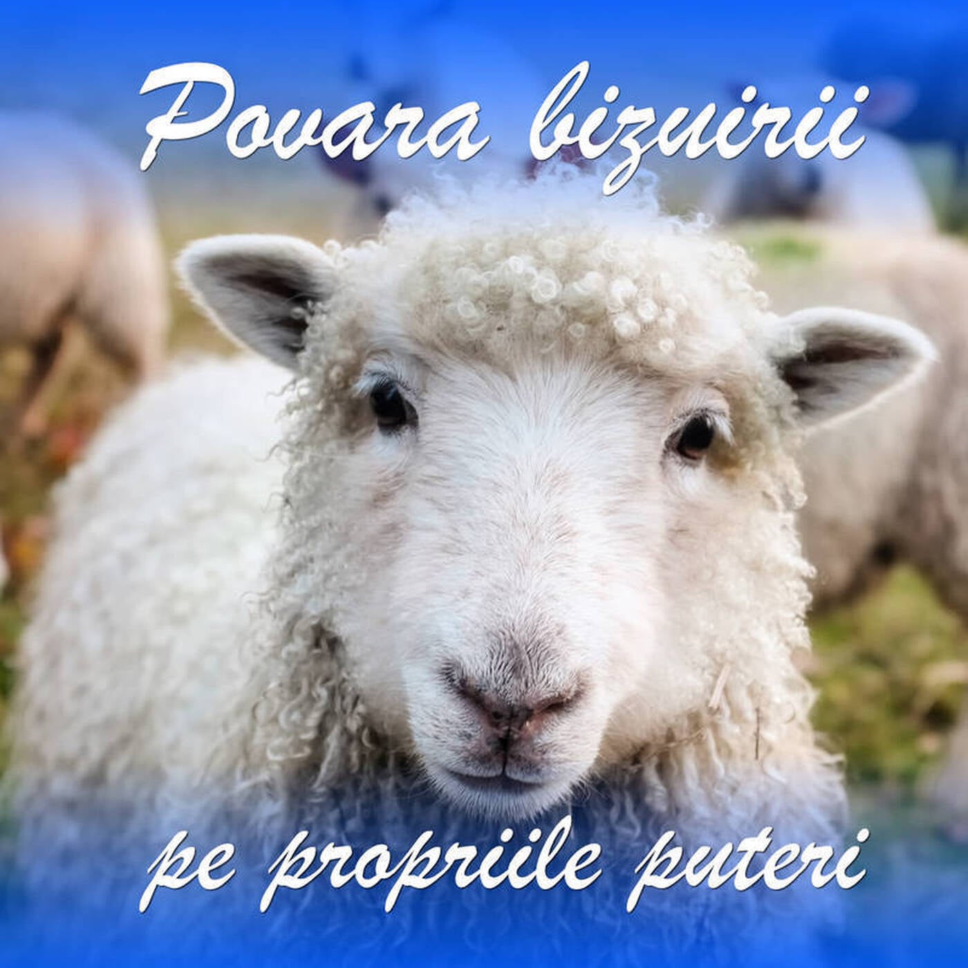 Povara bizuirii pe propriile puteri episode artwork