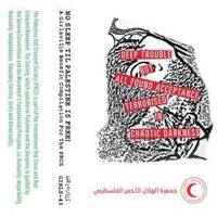 20240627 by Joost Dierick